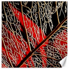 Leaf Pattern Canvas 20  X 20   by BangZart