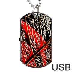 Leaf Pattern Dog Tag Usb Flash (one Side) by BangZart