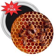 Honey Bees 3  Magnets (10 Pack)  by BangZart