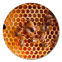 Honey Bees Magnet 5  (round) by BangZart