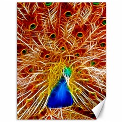 Fractal Peacock Art Canvas 36  X 48   by BangZart