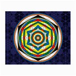 Flower Of Life Universal Mandala Small Glasses Cloth (2-Side) Back