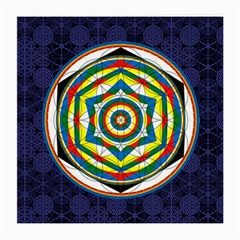 Flower Of Life Universal Mandala Medium Glasses Cloth by BangZart