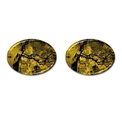 Colorful The Beautiful Of Traditional Art Indonesian Batik Pattern Cufflinks (oval) by BangZart