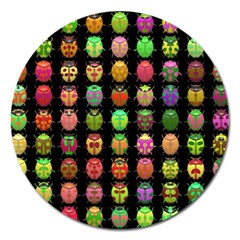 Beetles Insects Bugs Magnet 5  (round) by BangZart