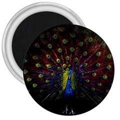 Beautiful Peacock Feather 3  Magnets by BangZart