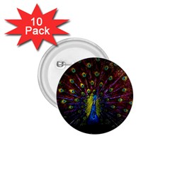 Beautiful Peacock Feather 1 75  Buttons (10 Pack) by BangZart