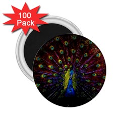 Beautiful Peacock Feather 2 25  Magnets (100 Pack)  by BangZart