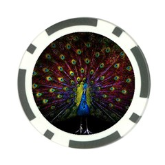 Beautiful Peacock Feather Poker Chip Card Guard by BangZart