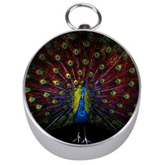 Beautiful Peacock Feather Silver Compasses by BangZart