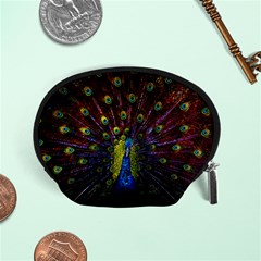 Beautiful Peacock Feather Accessory Pouches (small)  by BangZart