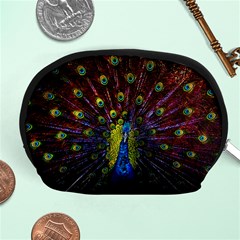 Beautiful Peacock Feather Accessory Pouches (medium)  by BangZart