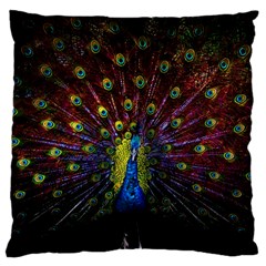 Beautiful Peacock Feather Standard Flano Cushion Case (two Sides) by BangZart