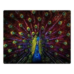 Beautiful Peacock Feather Double Sided Flano Blanket (large)  by BangZart