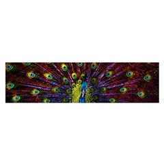 Beautiful Peacock Feather Satin Scarf (oblong) by BangZart