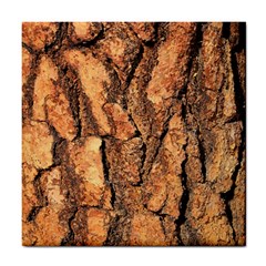 Bark Texture Wood Large Rough Red Wood Outside California Tile Coasters by BangZart