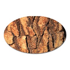 Bark Texture Wood Large Rough Red Wood Outside California Oval Magnet by BangZart