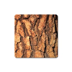 Bark Texture Wood Large Rough Red Wood Outside California Square Magnet by BangZart