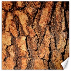 Bark Texture Wood Large Rough Red Wood Outside California Canvas 12  X 12   by BangZart