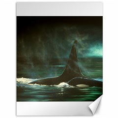 Whale Canvas 36  X 48  (unframed) by DBDesigns