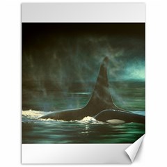 Whales Canvas 12  X 16  