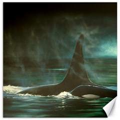 Whales Canvas 20  X 20  