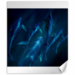 Dolphins Blue Canvas 8  X 10 