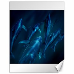 Dolphins Blue Canvas 18  X 24   by DBDesigns