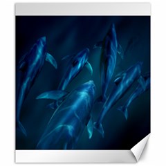 Dolphins Blue Canvas 20  X 24   by DBDesigns