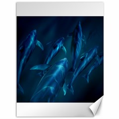 Dolphins Blue Canvas 36  X 48   by DBDesigns