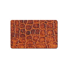 Crocodile Skin Texture Magnet (name Card) by BangZart