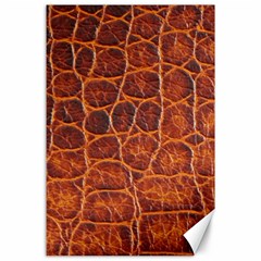 Crocodile Skin Texture Canvas 24  X 36  by BangZart