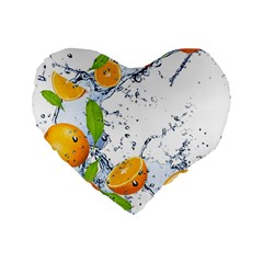 Fruits Water Vegetables Food Standard 16  Premium Heart Shape Cushions by BangZart