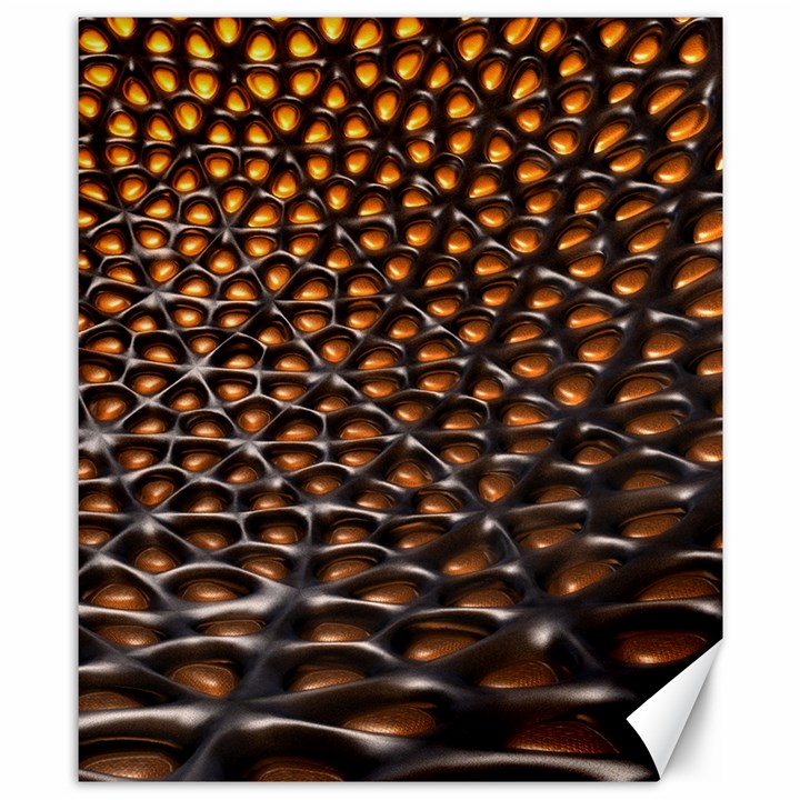 Digital Blasphemy Honeycomb Canvas 8  x 10 