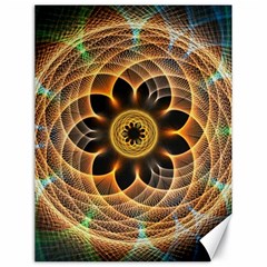 Mixed Chaos Flower Colorful Fractal Canvas 18  X 24   by BangZart