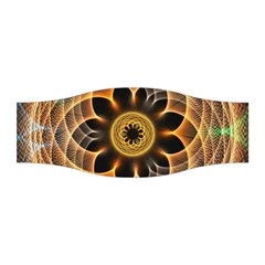 Mixed Chaos Flower Colorful Fractal Stretchable Headband