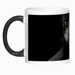 Gangsta Cat Morph Mugs by Valentinaart