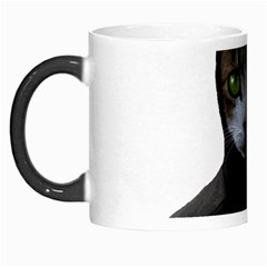 Gangsta Cat Morph Mugs