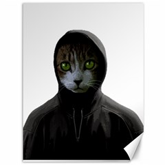 Gangsta Cat Canvas 36  X 48   by Valentinaart