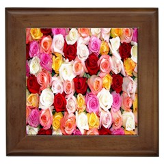 Rose Color Beautiful Flowers Framed Tiles by BangZart