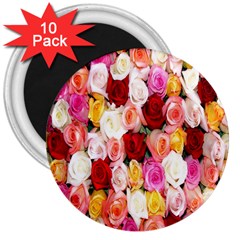 Rose Color Beautiful Flowers 3  Magnets (10 Pack) 