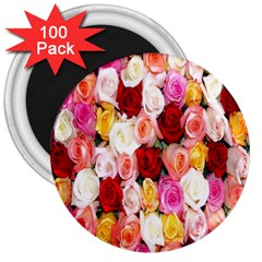 Rose Color Beautiful Flowers 3  Magnets (100 Pack) by BangZart