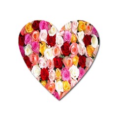 Rose Color Beautiful Flowers Heart Magnet by BangZart