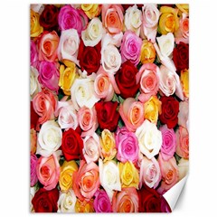 Rose Color Beautiful Flowers Canvas 36  X 48   by BangZart