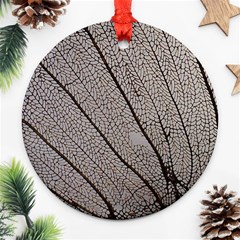 Sea Fan Coral Intricate Patterns Ornament (round) by BangZart