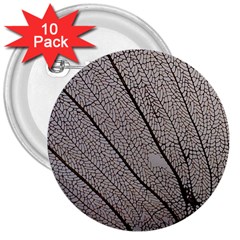 Sea Fan Coral Intricate Patterns 3  Buttons (10 Pack) 