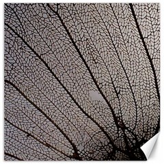 Sea Fan Coral Intricate Patterns Canvas 12  X 12   by BangZart