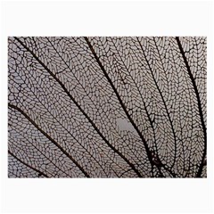 Sea Fan Coral Intricate Patterns Large Glasses Cloth by BangZart