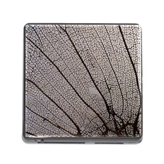 Sea Fan Coral Intricate Patterns Memory Card Reader (square) by BangZart