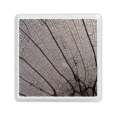 Sea Fan Coral Intricate Patterns Memory Card Reader (square)  by BangZart